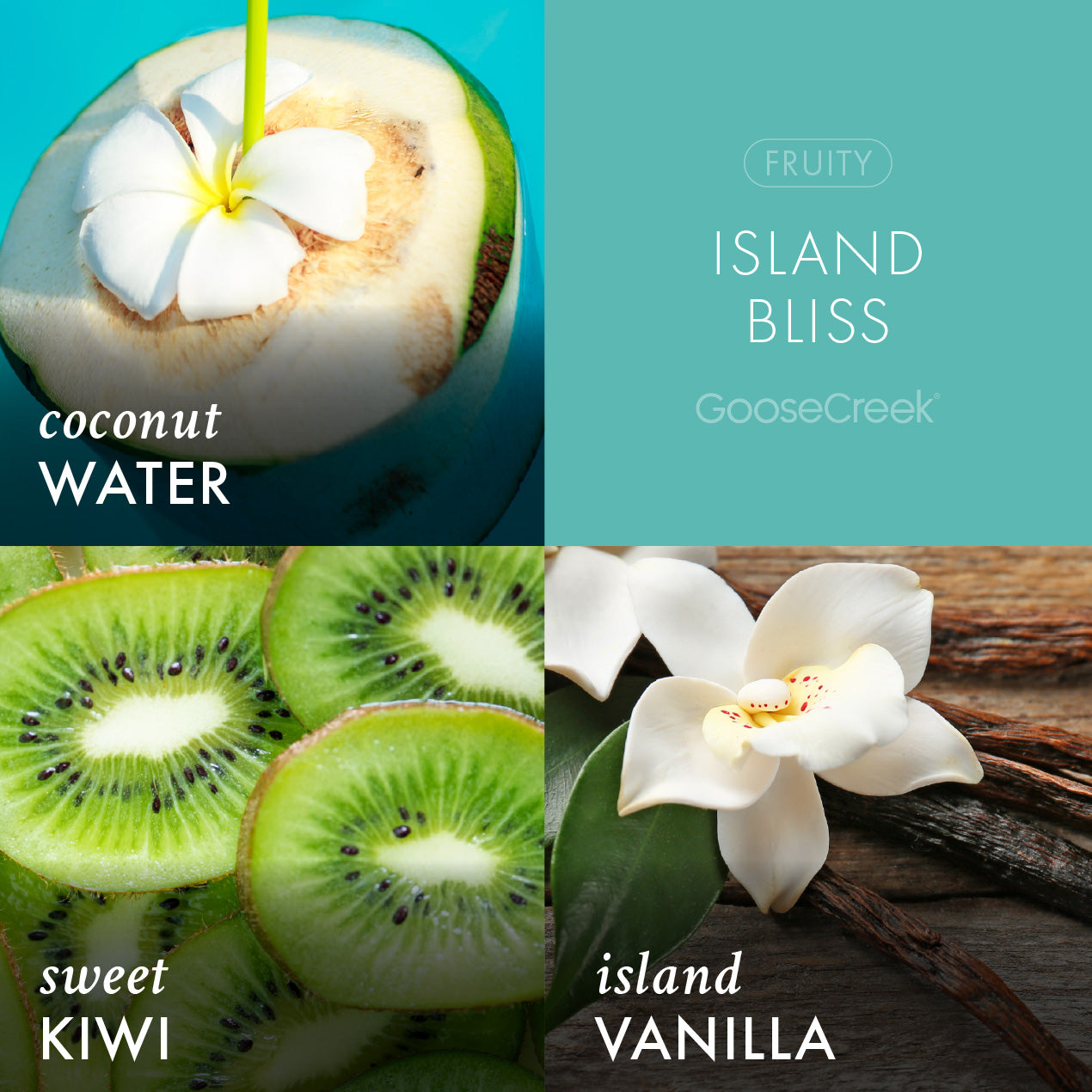 Island Bliss Lush Foaming Hand Soap