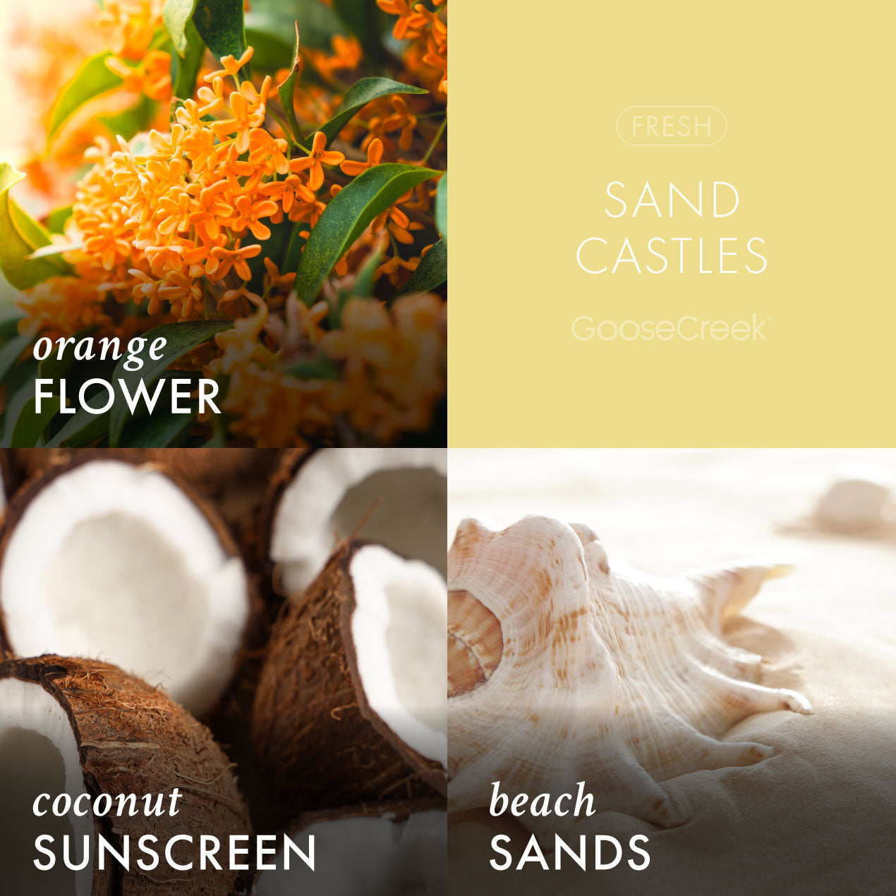 Sand Castles Lush Foaming Hand Soap